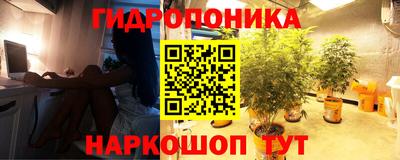 дживик Мариинск