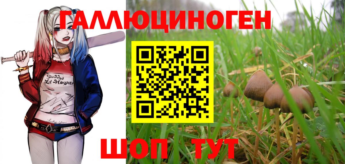 Галлюциногенные грибы мухоморы Дзержинск