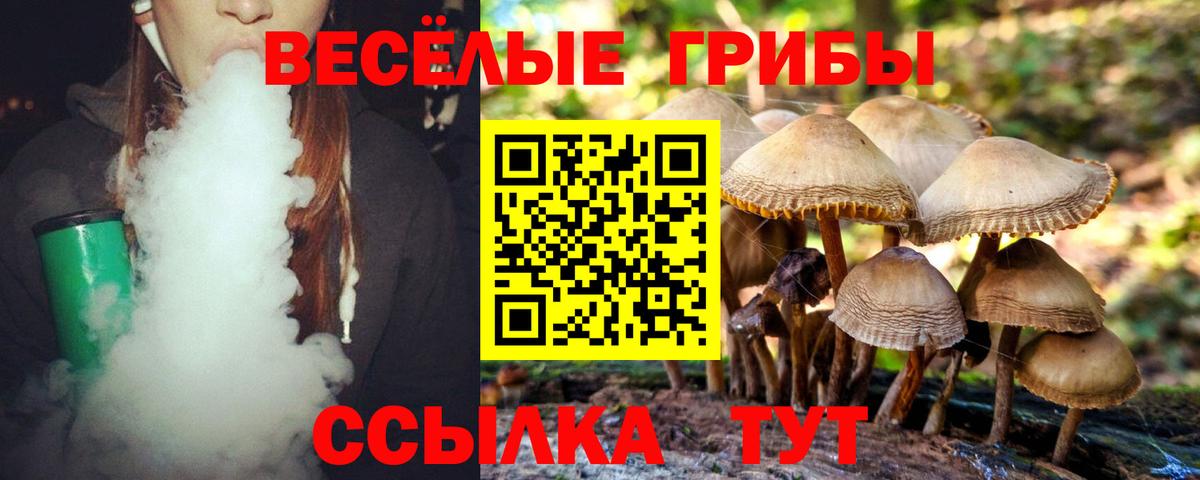 Дзержинск  Псилоцибиновые грибы Cubensis  Галлюциногенные грибы мухоморы  Вход с VPN 