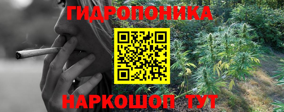 Шишки марихуана план Дзержинск